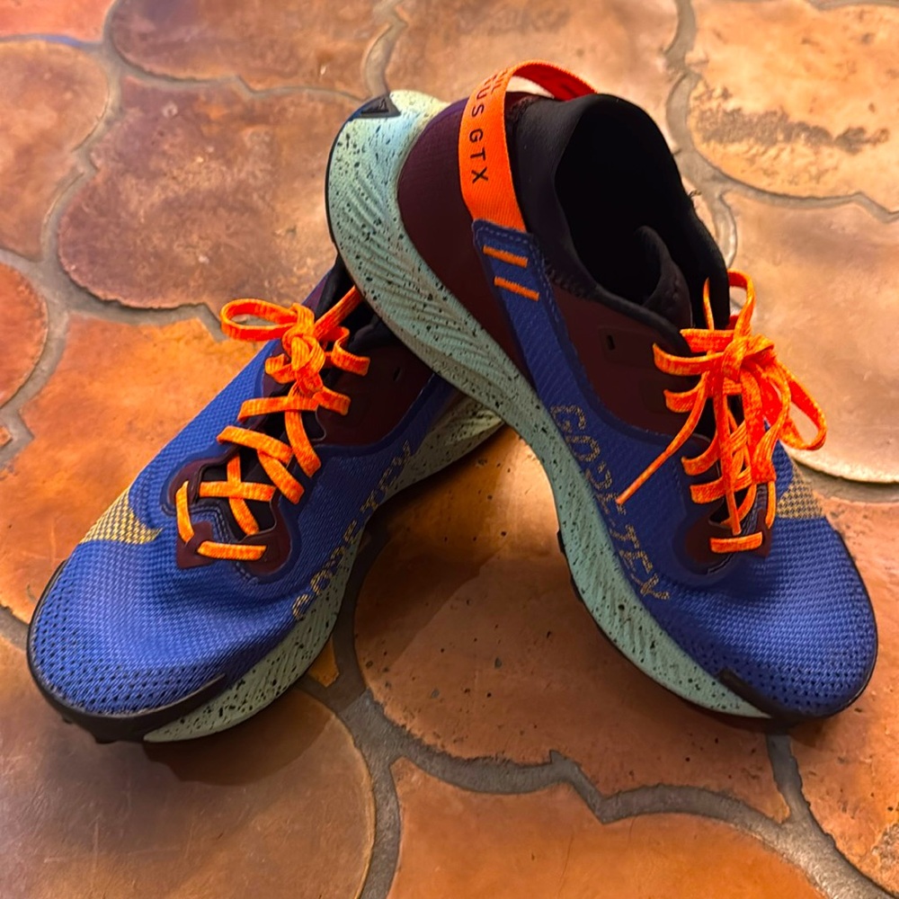 Nike Trail Pegasus GTX